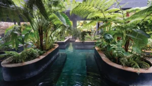 Termales cerca a Manizales: guía para disfrutar las aguas del Nevado del Ruiz
